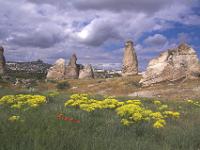 Blühende Wiese und kleinere Felssäulen